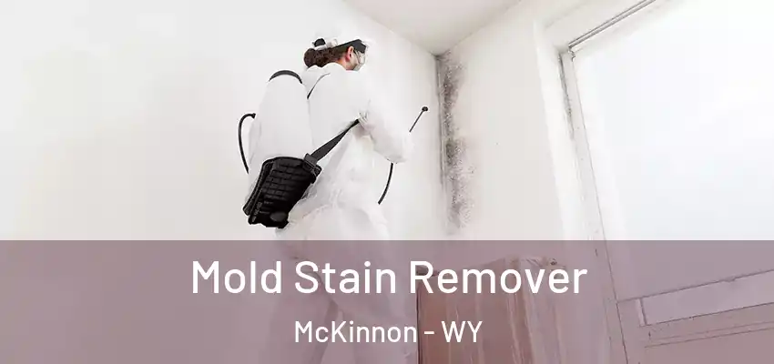  Mold Stain Remover McKinnon - WY