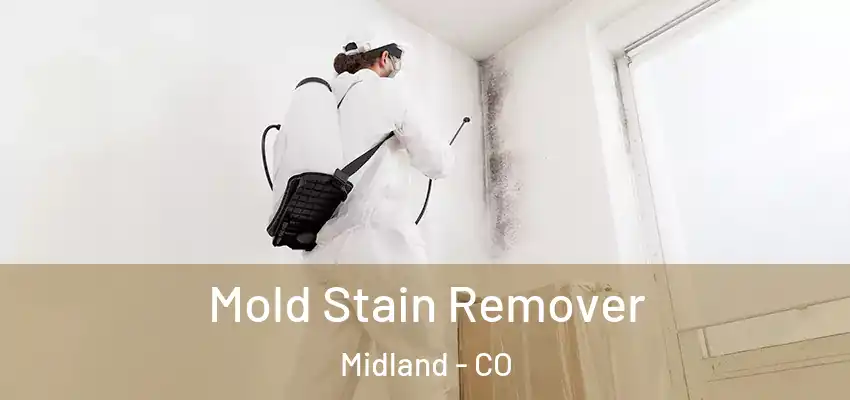  Mold Stain Remover Midland - CO