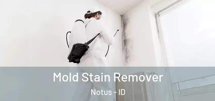 Mold Stain Remover Notus - ID