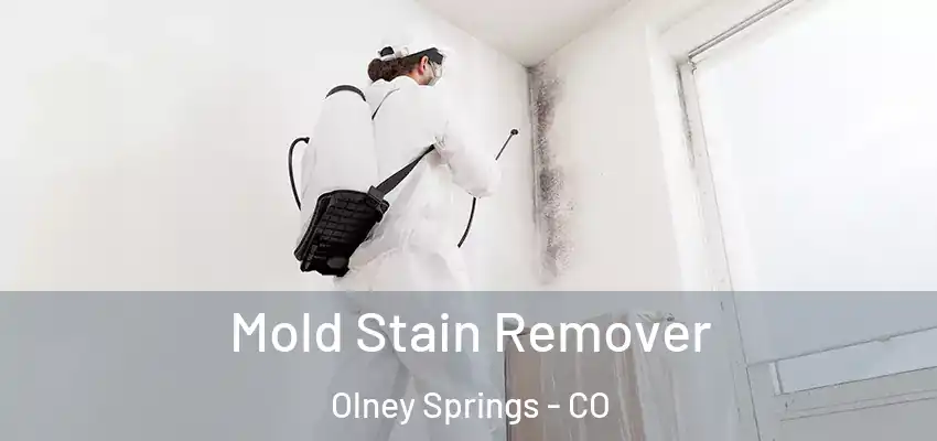 Mold Stain Remover Olney Springs - CO