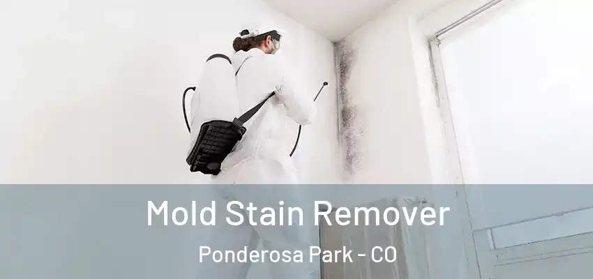  Mold Stain Remover Ponderosa Park - CO