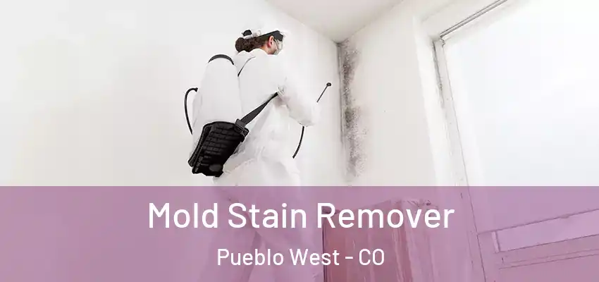 Mold Stain Remover Pueblo West - CO