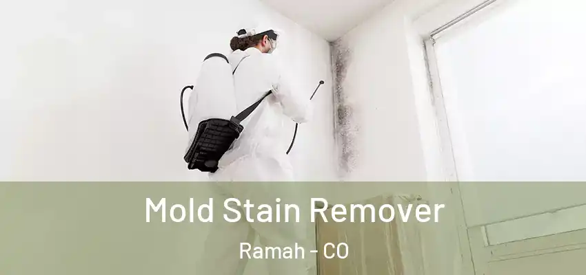 Mold Stain Remover Ramah - CO