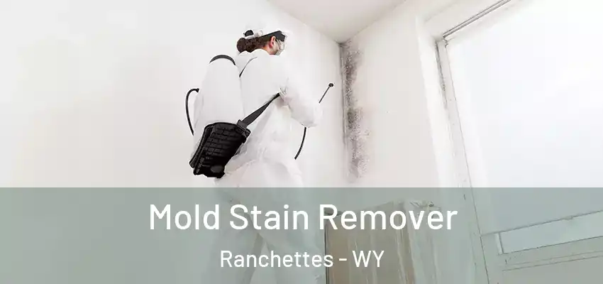  Mold Stain Remover Ranchettes - WY