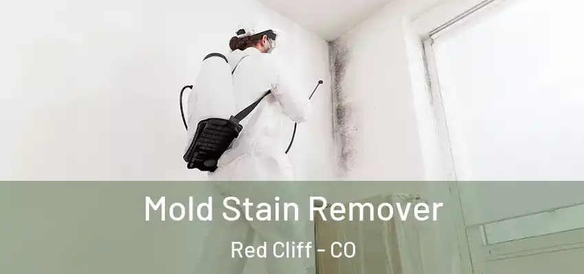  Mold Stain Remover Red Cliff - CO