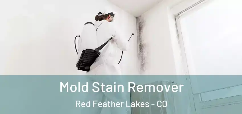  Mold Stain Remover Red Feather Lakes - CO