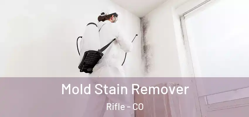  Mold Stain Remover Rifle - CO