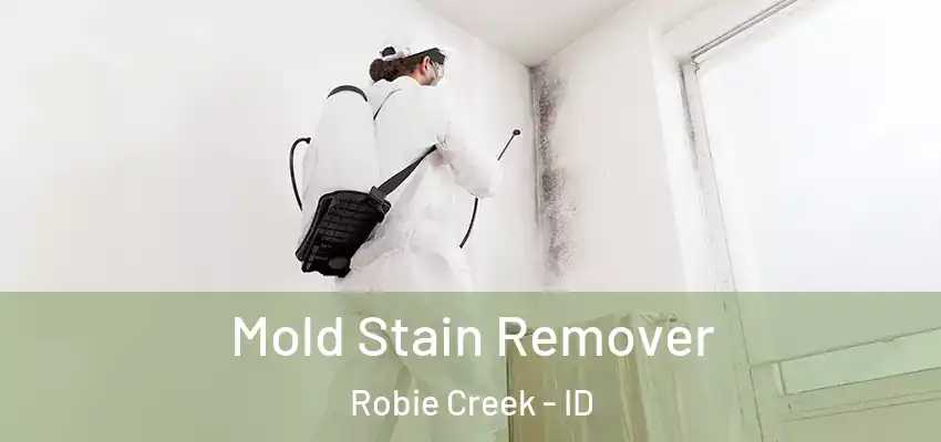 Mold Stain Remover Robie Creek - ID