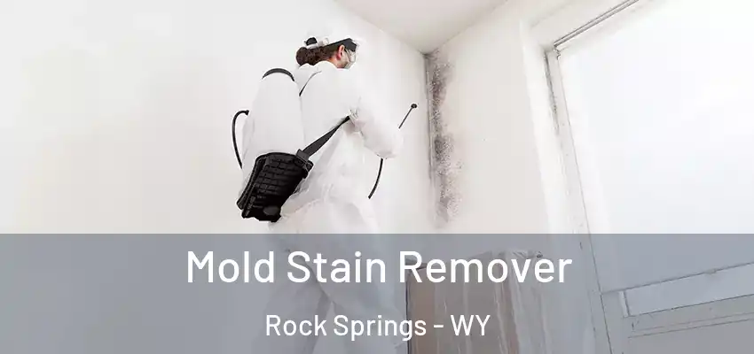  Mold Stain Remover Rock Springs - WY