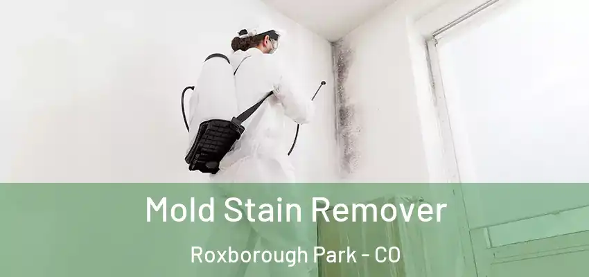  Mold Stain Remover Roxborough Park - CO