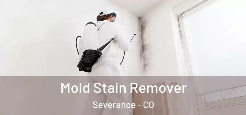  Mold Stain Remover Severance - CO