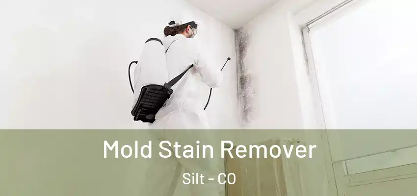 Mold Stain Remover Silt - CO