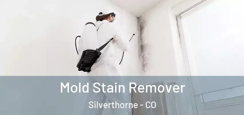  Mold Stain Remover Silverthorne - CO