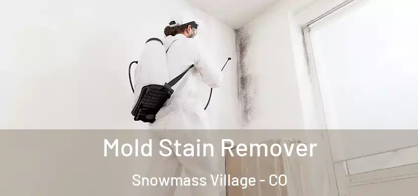  Mold Stain Remover Snowmass Village - CO