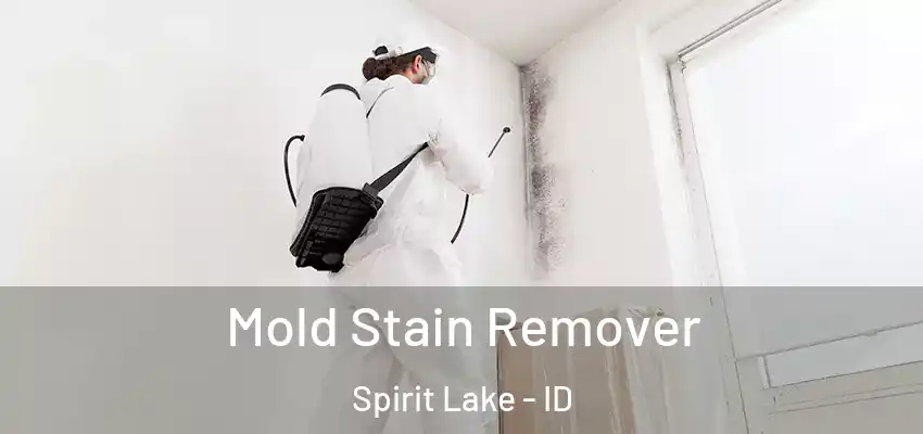  Mold Stain Remover Spirit Lake - ID