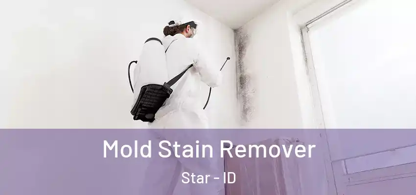  Mold Stain Remover Star - ID