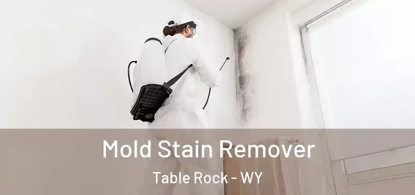  Mold Stain Remover Table Rock - WY
