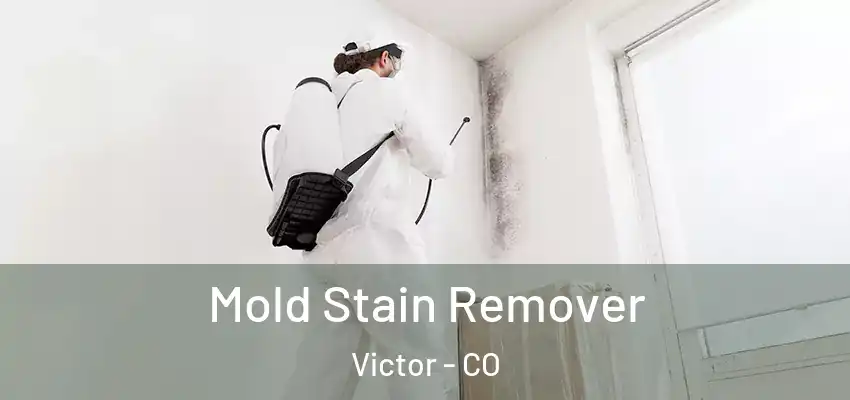 Mold Stain Remover Victor - CO
