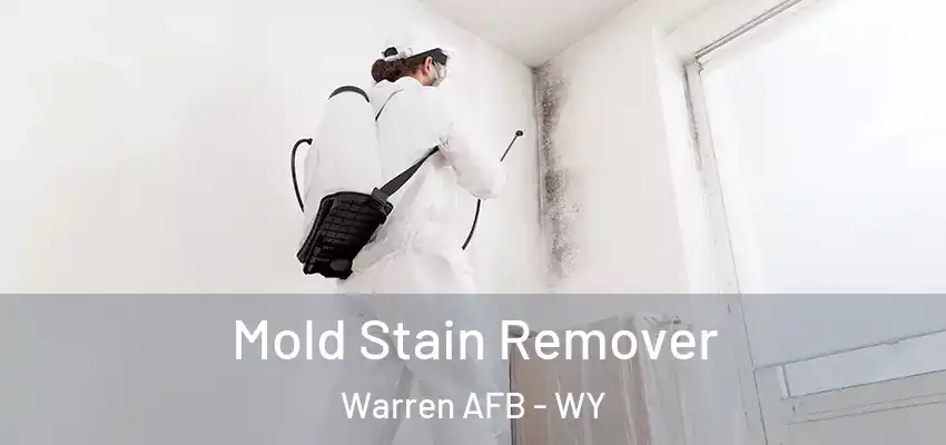  Mold Stain Remover Warren AFB - WY