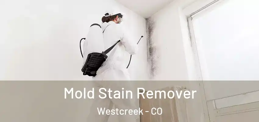  Mold Stain Remover Westcreek - CO