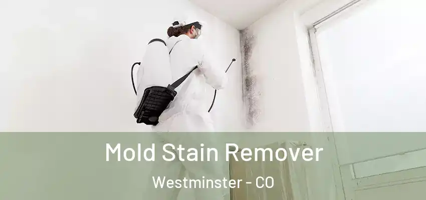  Mold Stain Remover Westminster - CO