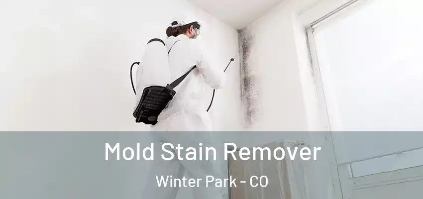 Mold Stain Remover Winter Park - CO