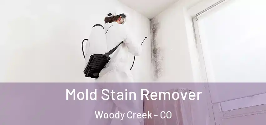  Mold Stain Remover Woody Creek - CO