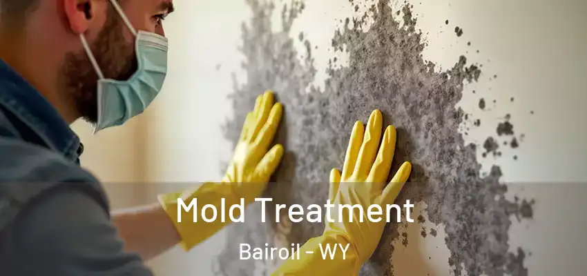  Mold Treatment Bairoil - WY