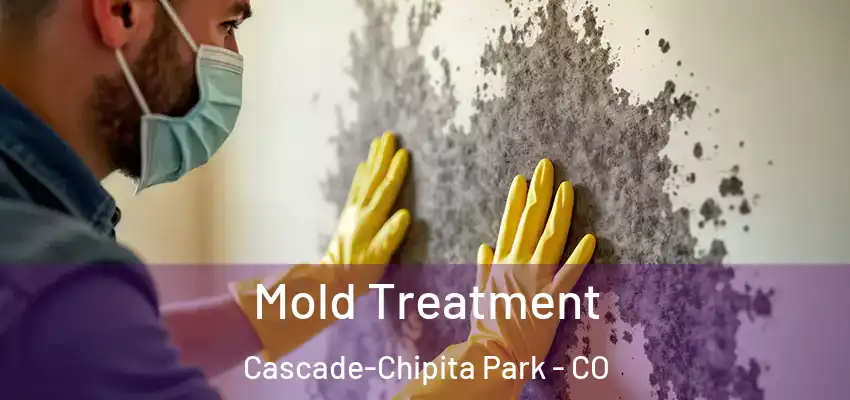 Mold Treatment Cascade-Chipita Park - CO