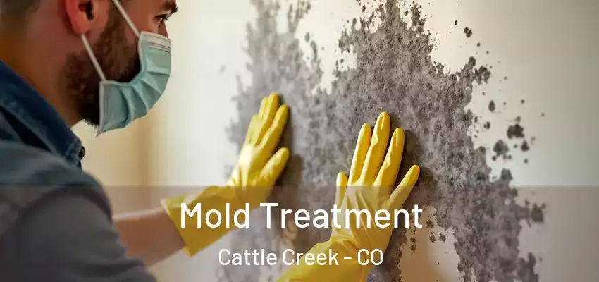  Mold Treatment Cattle Creek - CO