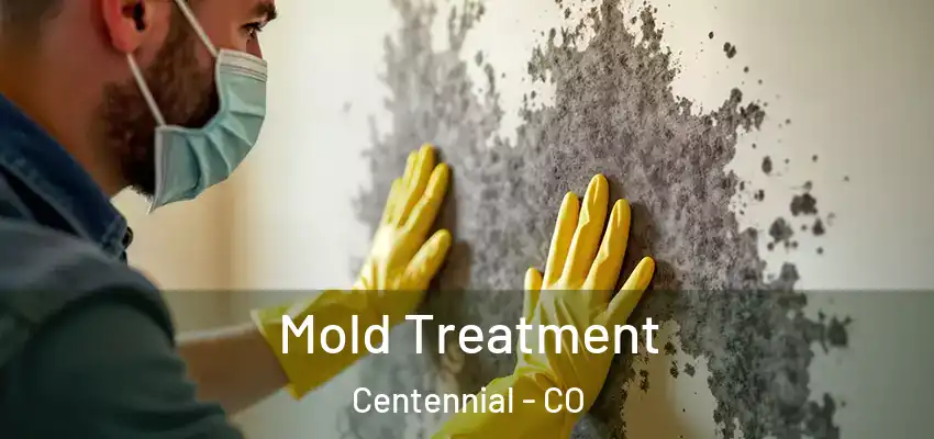 Mold Treatment Centennial - CO