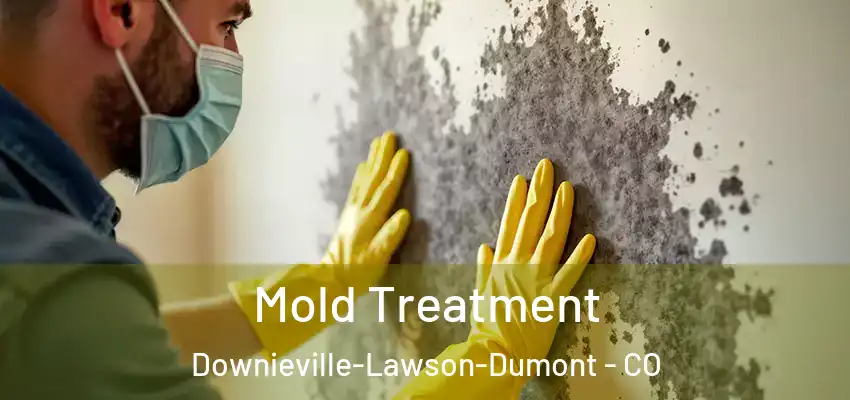  Mold Treatment Downieville-Lawson-Dumont - CO