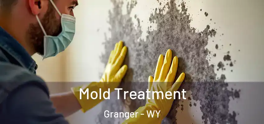 Mold Treatment Granger - WY