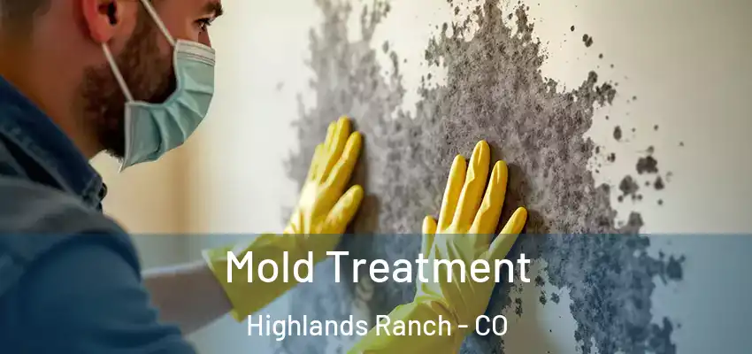  Mold Treatment Highlands Ranch - CO