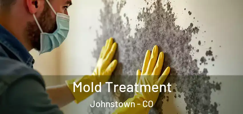 Mold Treatment Johnstown - CO