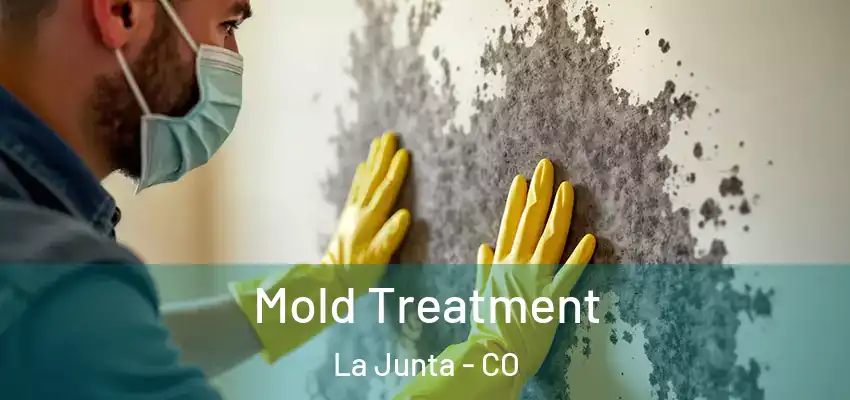  Mold Treatment La Junta - CO