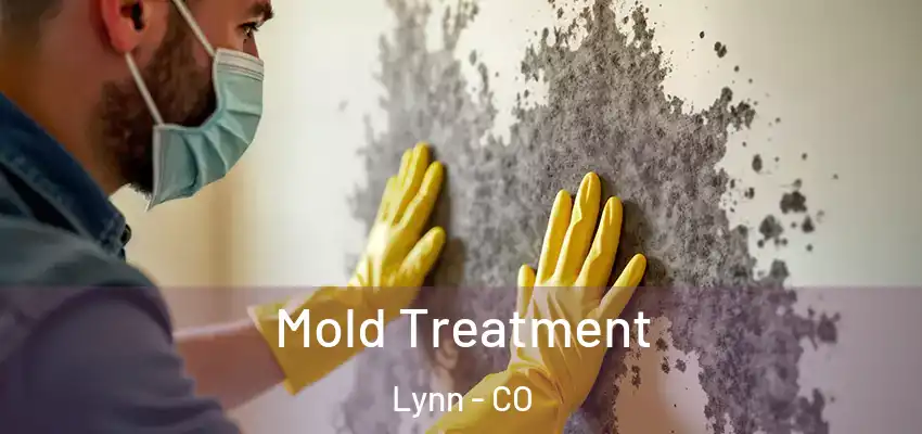 Mold Treatment Lynn - CO