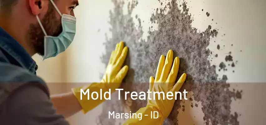  Mold Treatment Marsing - ID