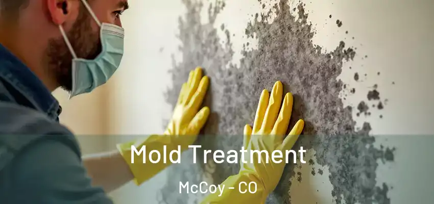 Mold Treatment McCoy - CO