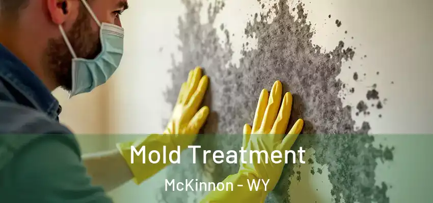  Mold Treatment McKinnon - WY