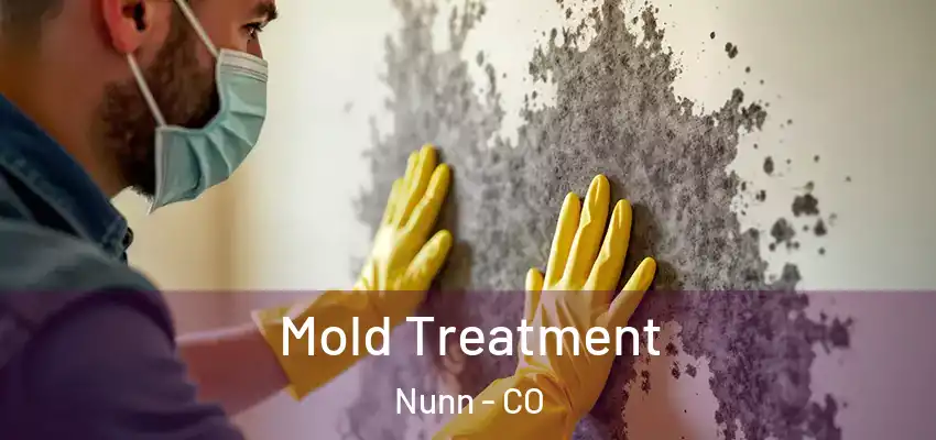 Mold Treatment Nunn - CO