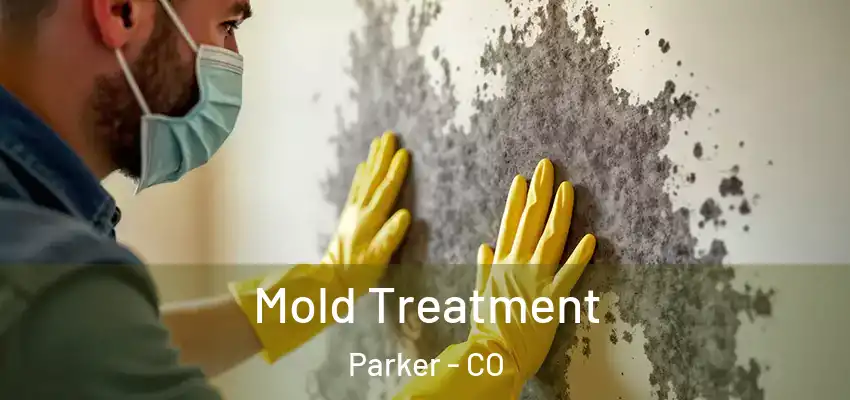 Mold Treatment Parker - CO