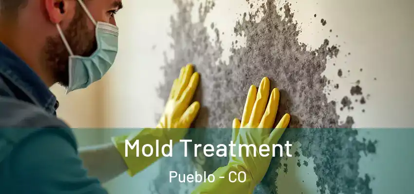 Mold Treatment Pueblo - CO