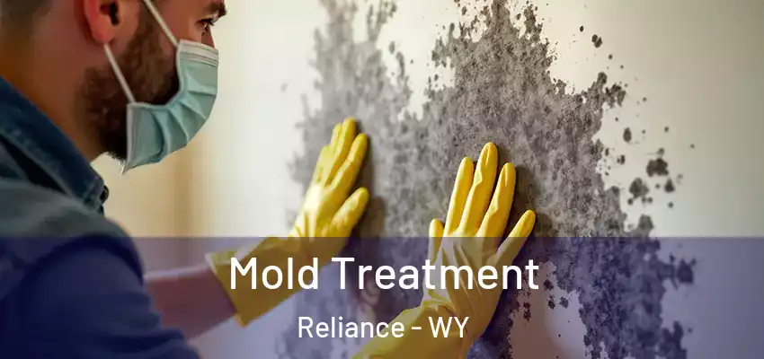  Mold Treatment Reliance - WY