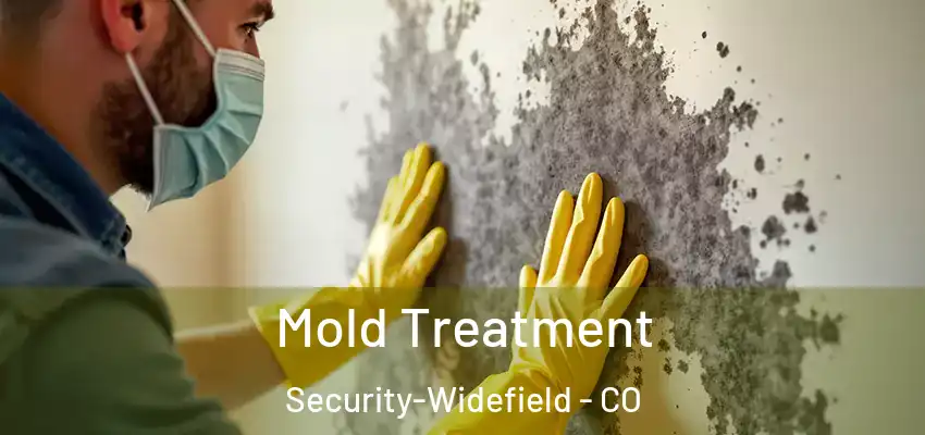  Mold Treatment Security-Widefield - CO