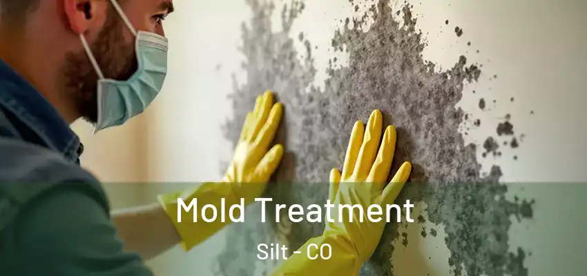 Mold Treatment Silt - CO