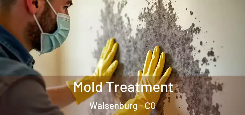  Mold Treatment Walsenburg - CO
