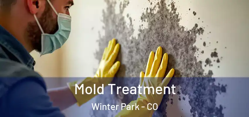 Mold Treatment Winter Park - CO