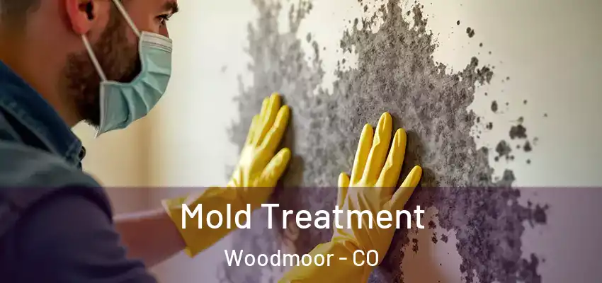  Mold Treatment Woodmoor - CO