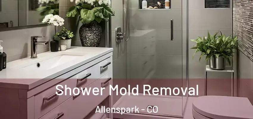  Shower Mold Removal Allenspark - CO